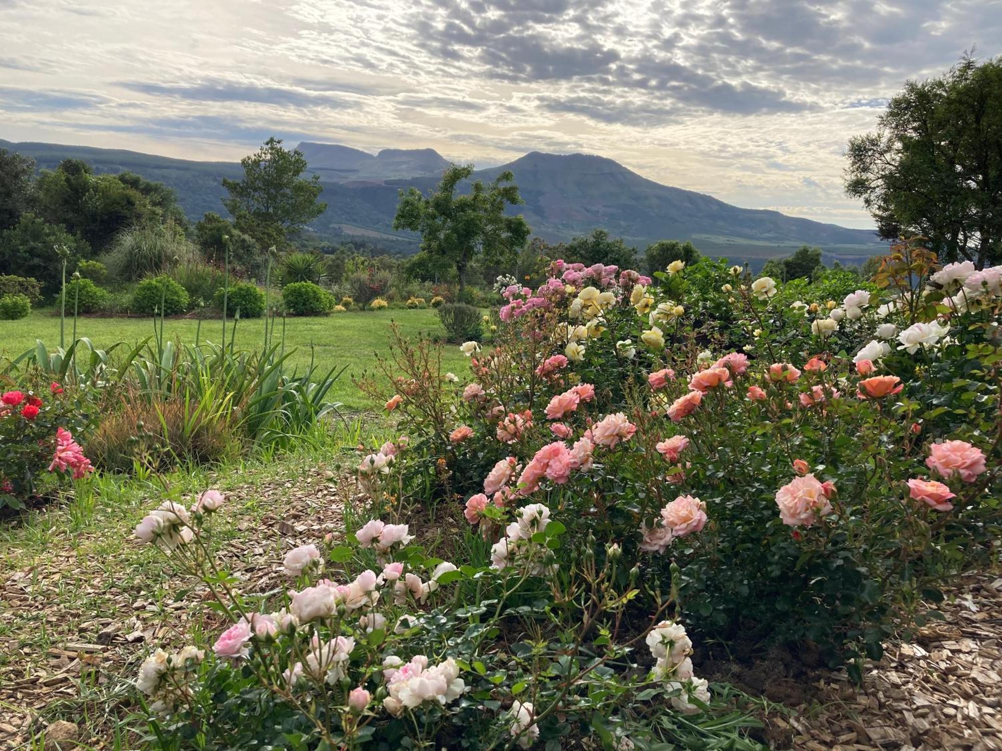 Bramber Cottage Hogsback, Living With Joy! Exterior foto